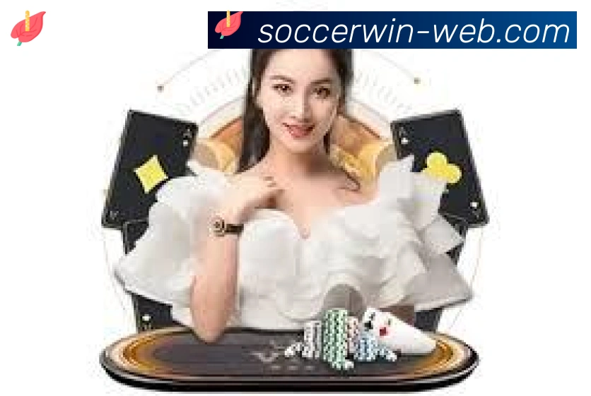 2026世界杯投注入口荣誉